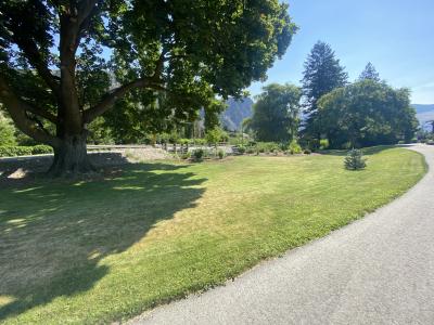 Native, plant, nursery, sales, habitat, restoration, BC, British, Columbia, Okanagan