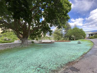Native, plant, nursery, sales, habitat, restoration, BC, British, Columbia, Okanagan