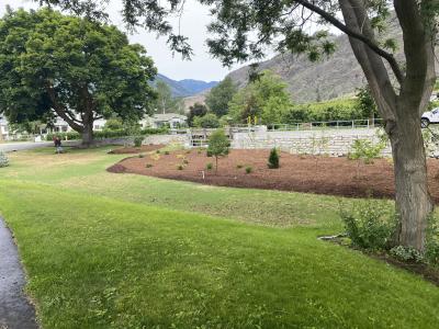 Native, plant, nursery, sales, habitat, restoration, BC, British, Columbia, Okanagan