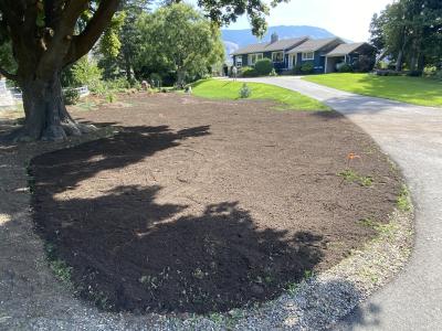 Native, plant, nursery, sales, habitat, restoration, BC, British, Columbia, Okanagan